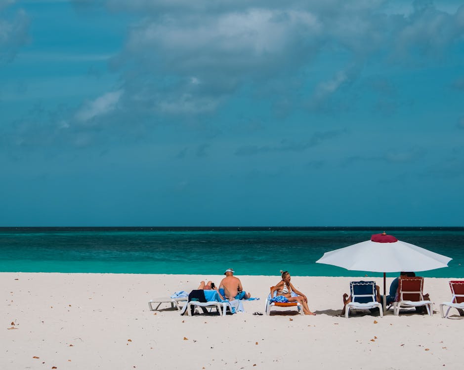 People Sunbathing on the Beach 