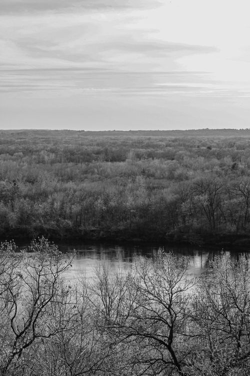 Free A serene black and white aerial view capturing a river winding through an expansive forest. Stock Photo