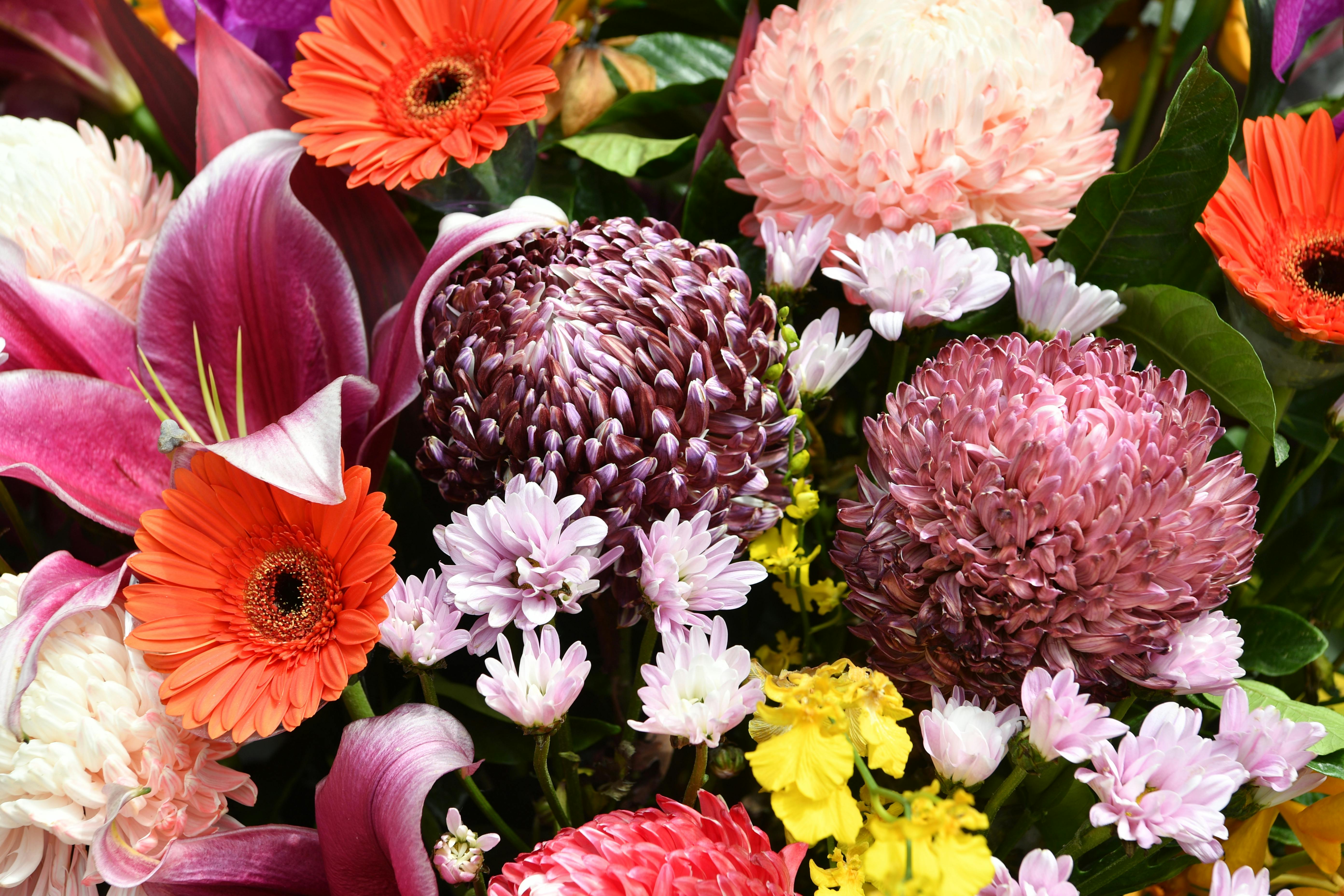 Floral arrangement with a mix of flowers and greenery - Classic floral arrangements