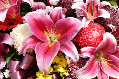 Foto stok gratis buket, bunga bakung, bunga-bunga