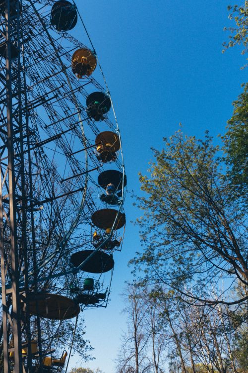 Free A colorful Ferris wheel stands tall against a bright blue sky, framed by trees. Stock Photo