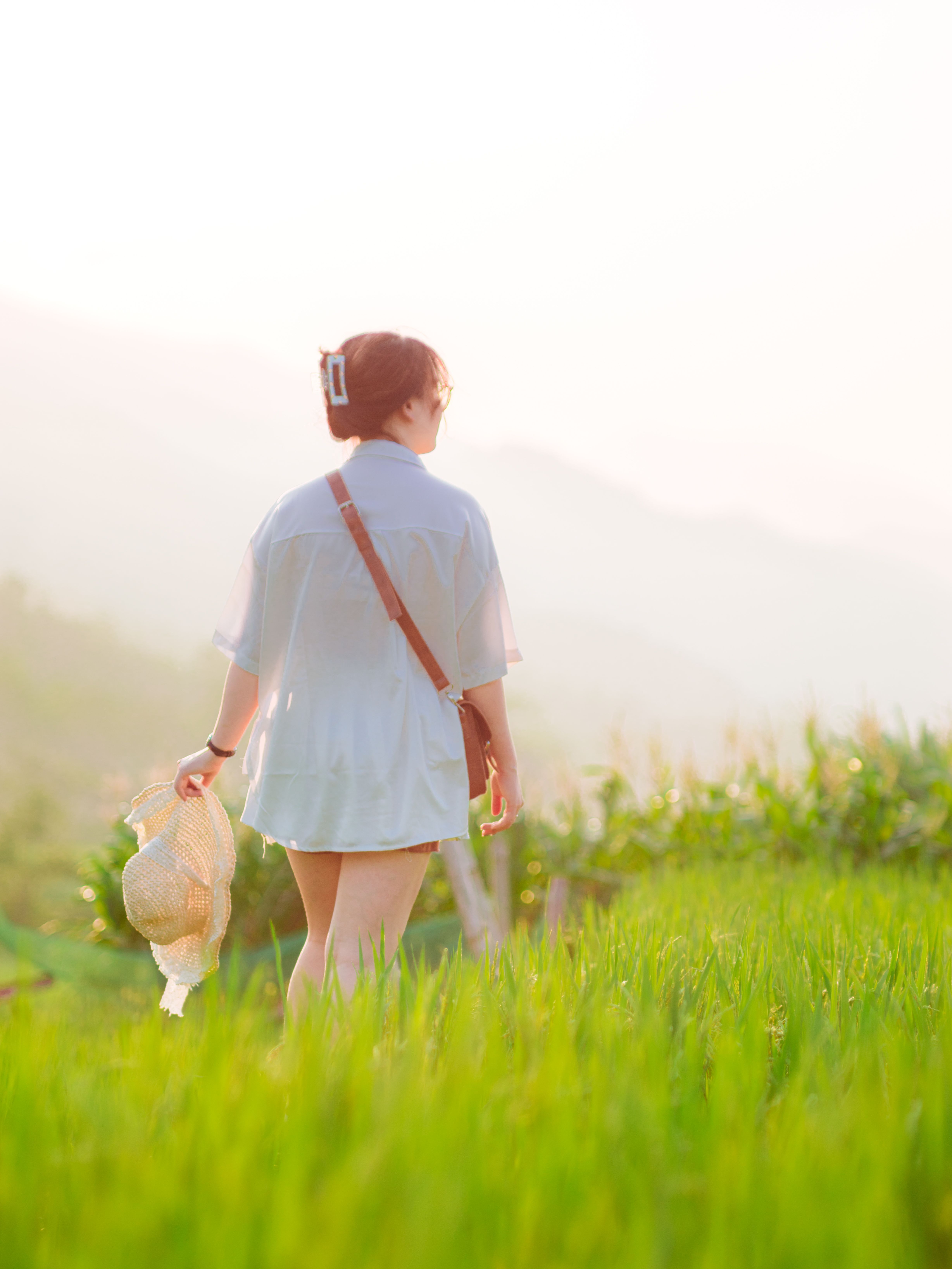 Back View of a Woman on a Grass Field in Summer · Free Stock Photo