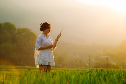Free A woman enjoys the tranquil atmosphere in a green countryside field at sunset. Stock Photo