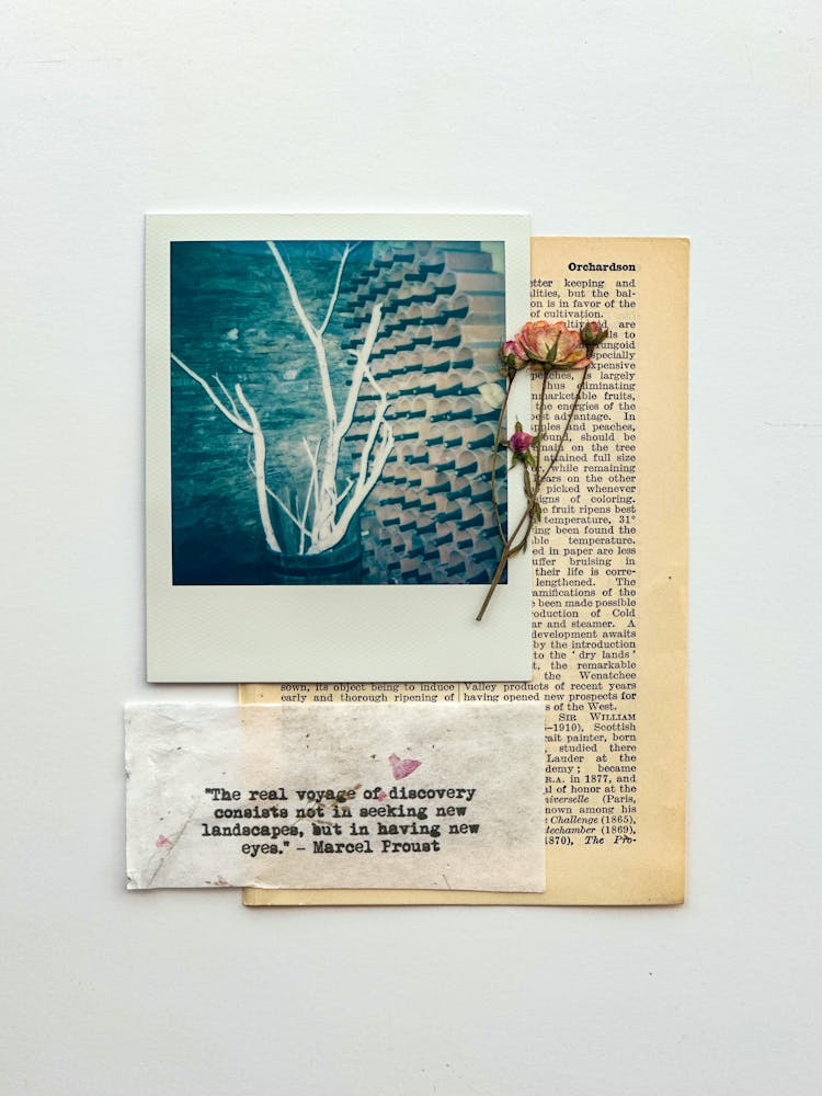 Picture, Flowers, Paper And Page