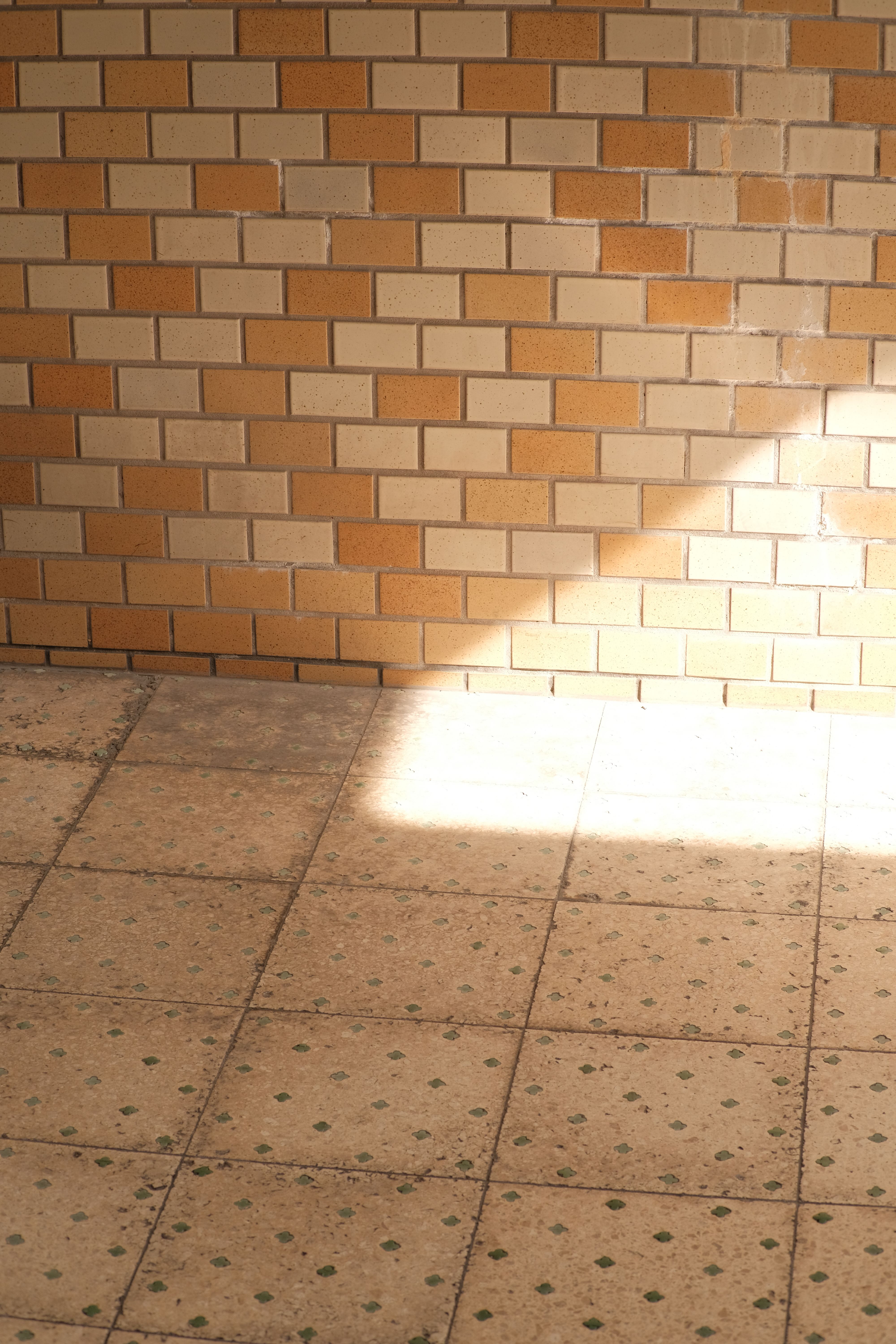 A beam of sunlight illuminates a brick wall and patterned tiles indoors.