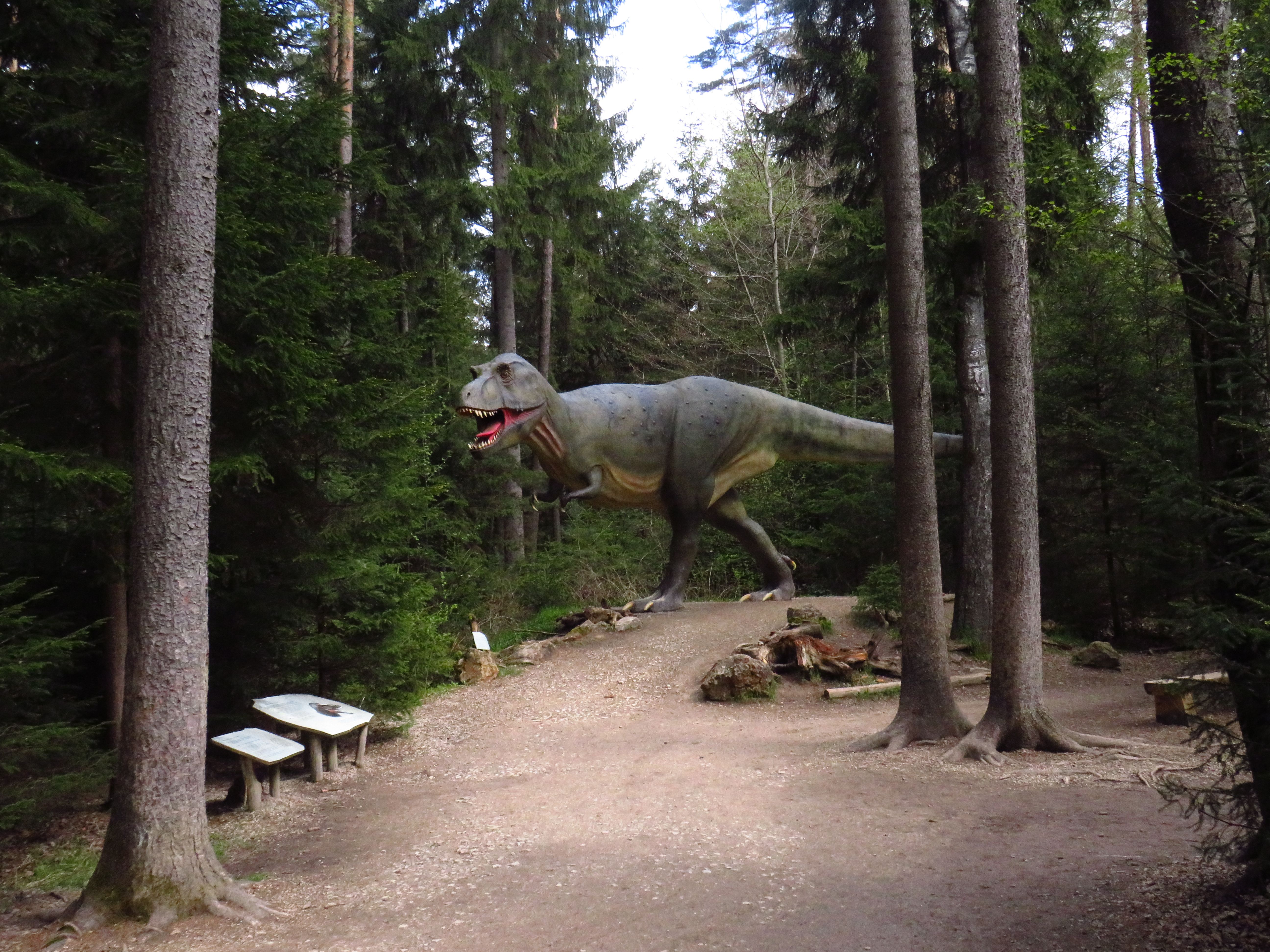 Dinosaur Paths Photos, Download The BEST Free Dinosaur Paths Stock ...