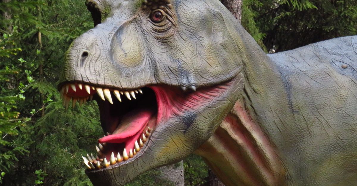 t. rex