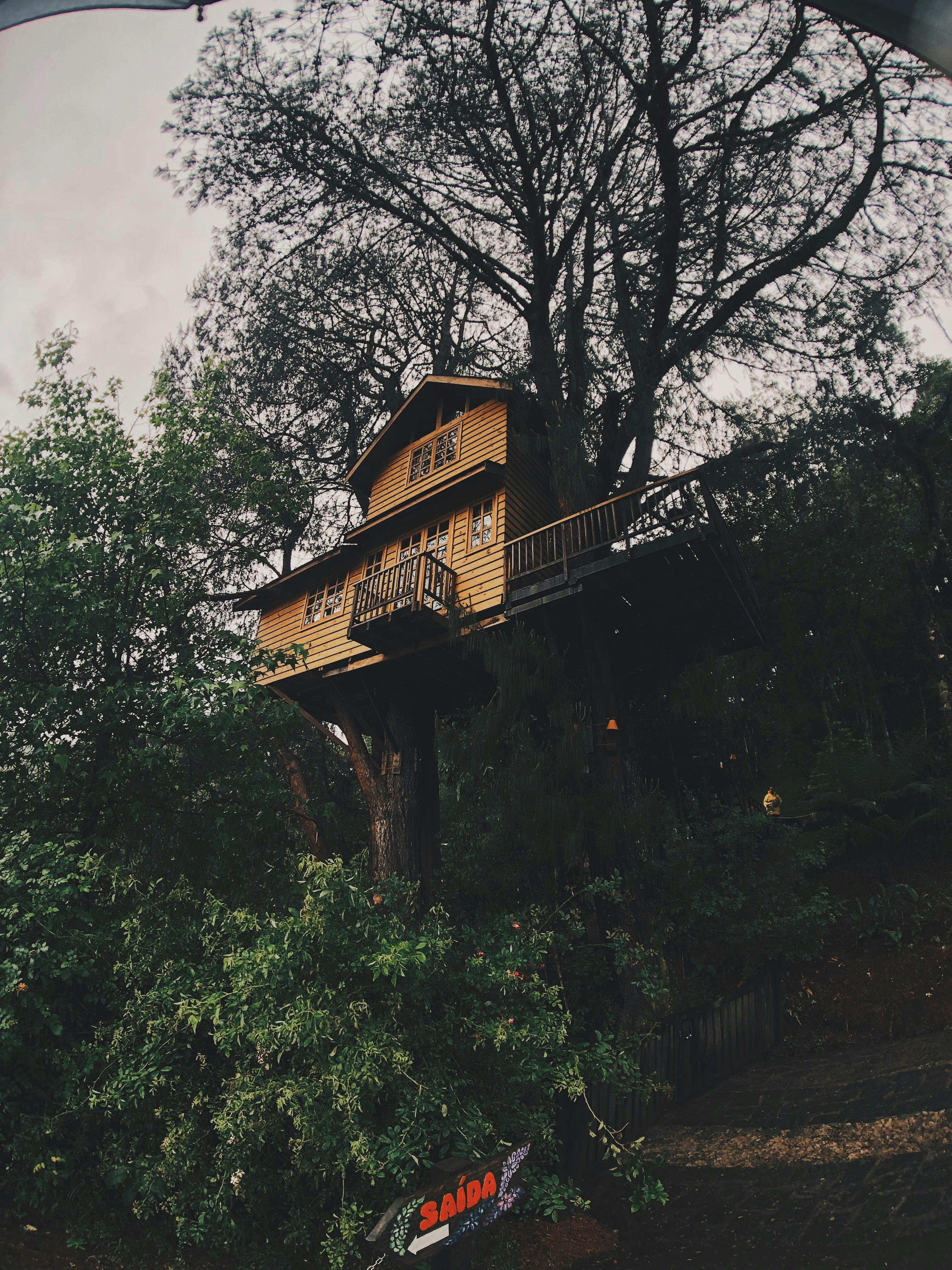 A cozy wooden treehouse nestled among tall trees in a serene forest.