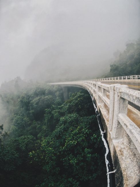 Dramatic view of a bridge shrouded in fog over a dense forest, creating a mysterious atmosphere.