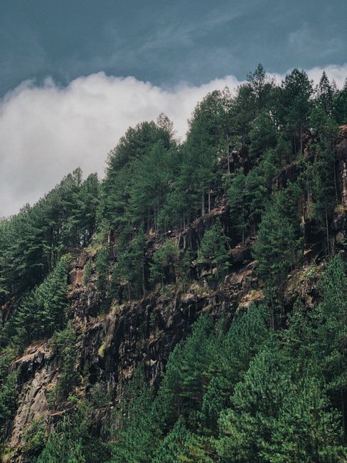 Majestic forested cliff under a cloudy sky, showcasing natural beauty.