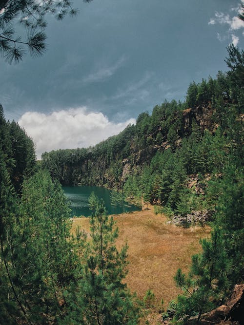 Beau Lac Au Milieu De La Forêt