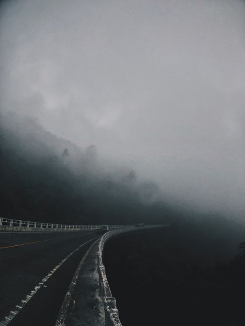 A winding road disappearing into dense fog, creating an eerie and mysterious atmosphere.
