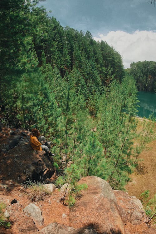 Mulher Sentada Em Pedras Perto De árvores