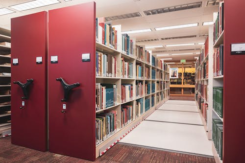 Rows of Bookshelves in a College Library 