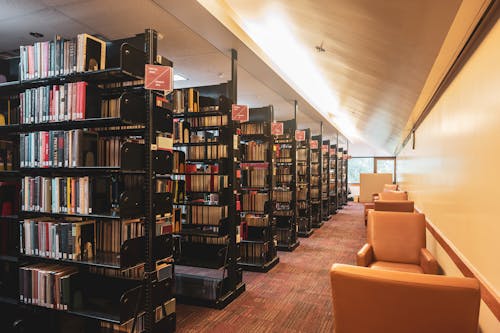 Rows of Bookshelves and Armchairs in a Library 