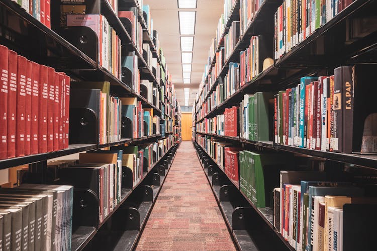 View Of Rows Of Bookshelves In A College Library 