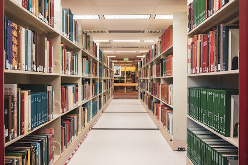 View of Rows of Bookshelves in a College Library 