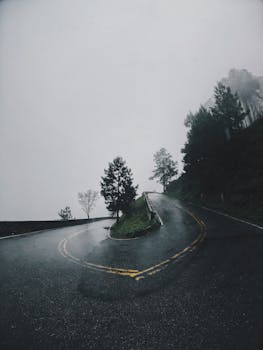 浓雾笼罩着蜿蜒的山路，一派宁静而神秘的景象