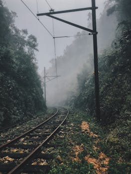一条雾蒙蒙的宁静铁路蜿蜒穿过雾气笼罩的森林