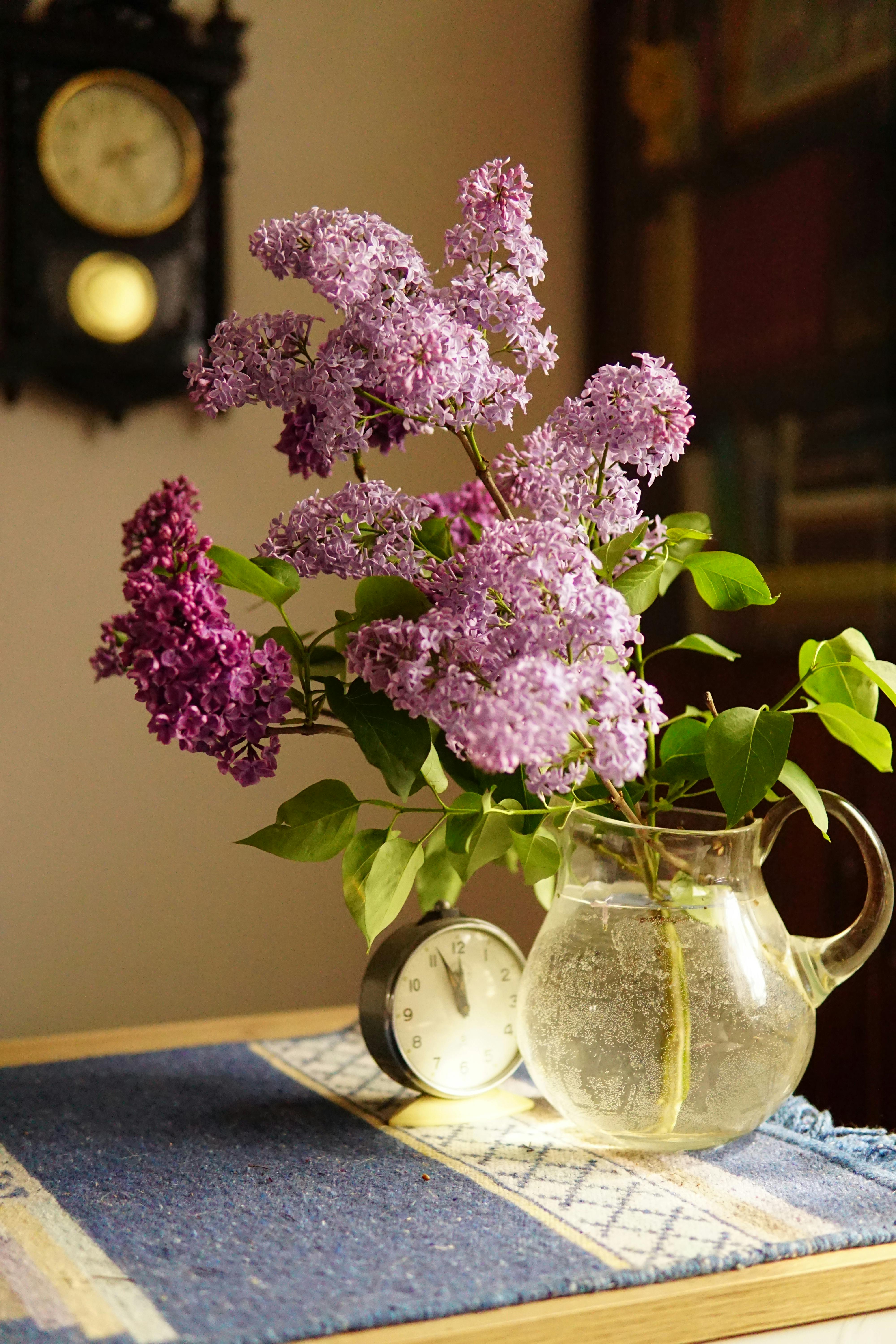 A beautiful bouquet of lilacs in a glass pitcher with a clock, set on a table inside a cozy room.