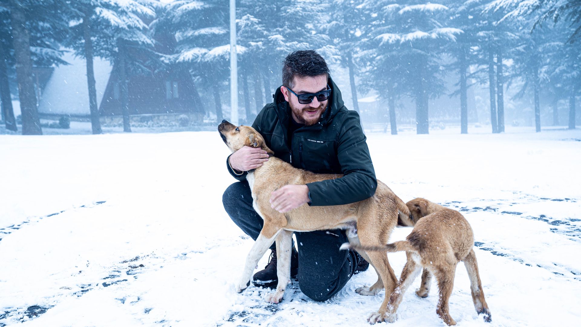 Man Hugging One of His Dogs while Crouching on a Snowy Yard