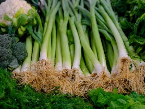 Close-up of fresh green onions, broccoli, and cauliflower showcasing vibrant healthy produce.