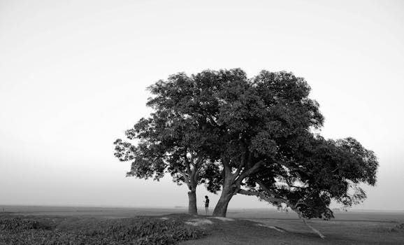A person stands under a large tree in a vast rural landscape, captured in black and white.