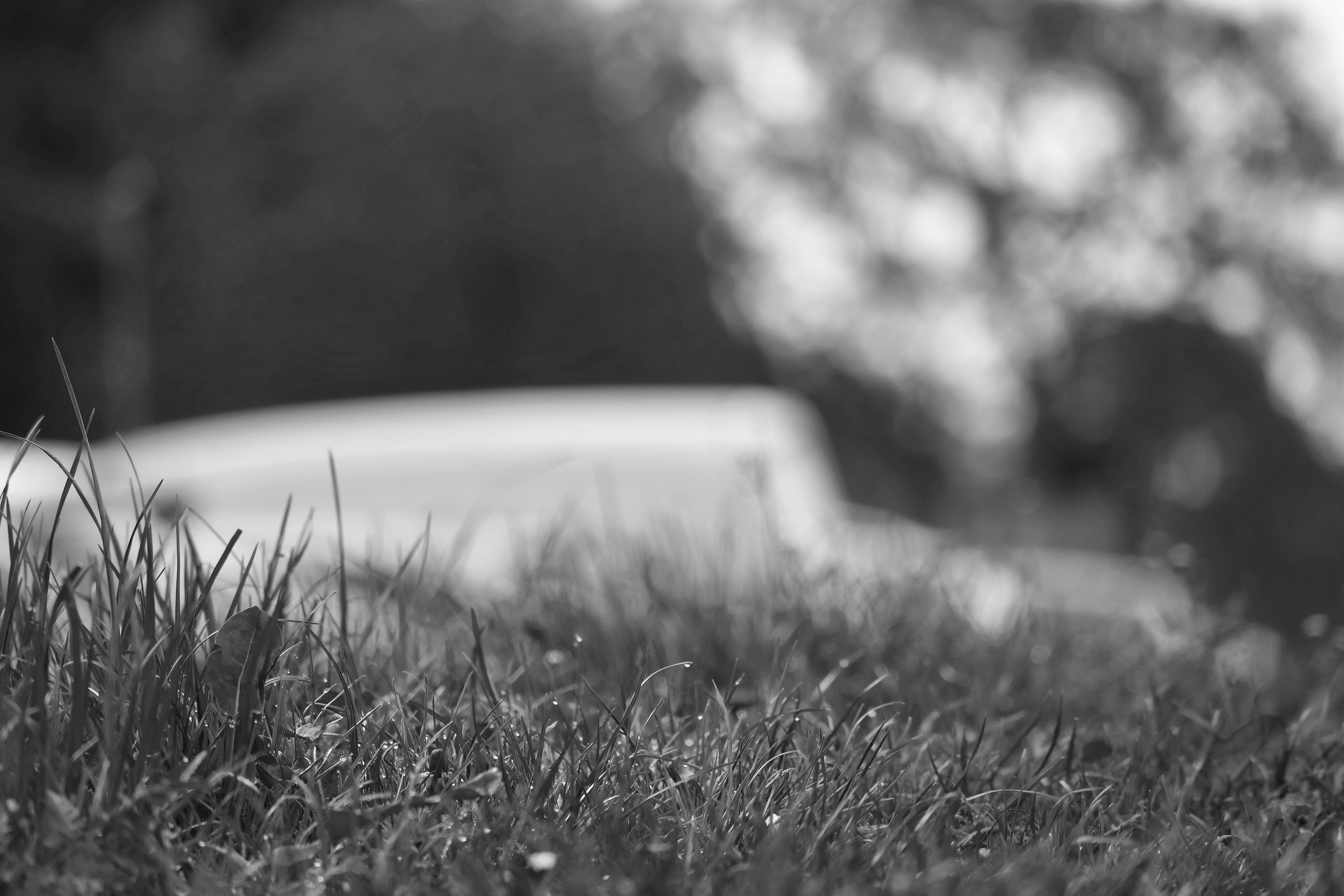 Gratis Fotos de stock gratuitas de @al aire libre, artístico, belleza en la naturaleza Foto de stock