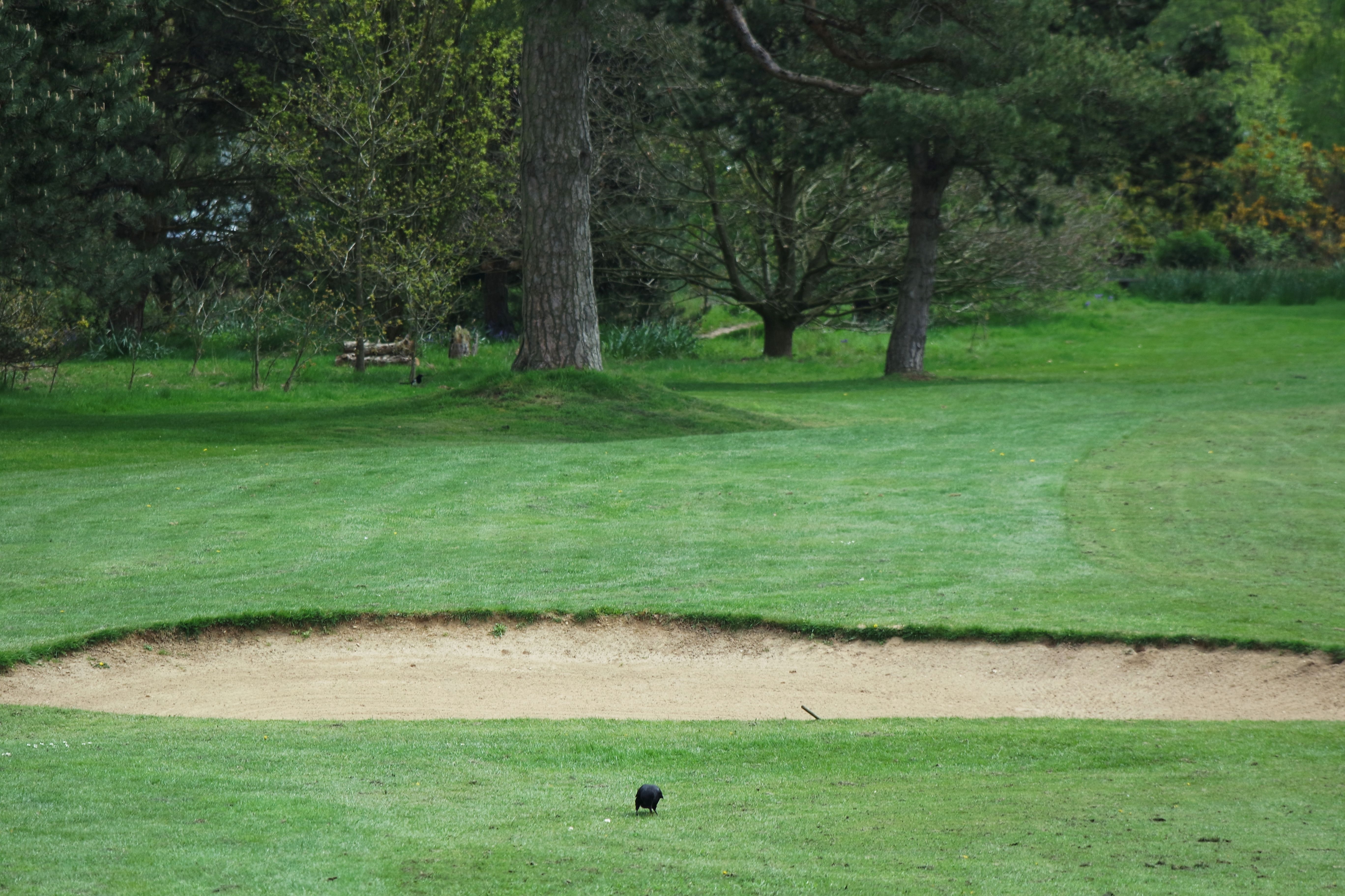 Walton Heath (Old)