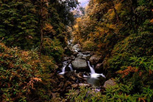 View of a River Flowing Down the Rocky Hill between Bushes 