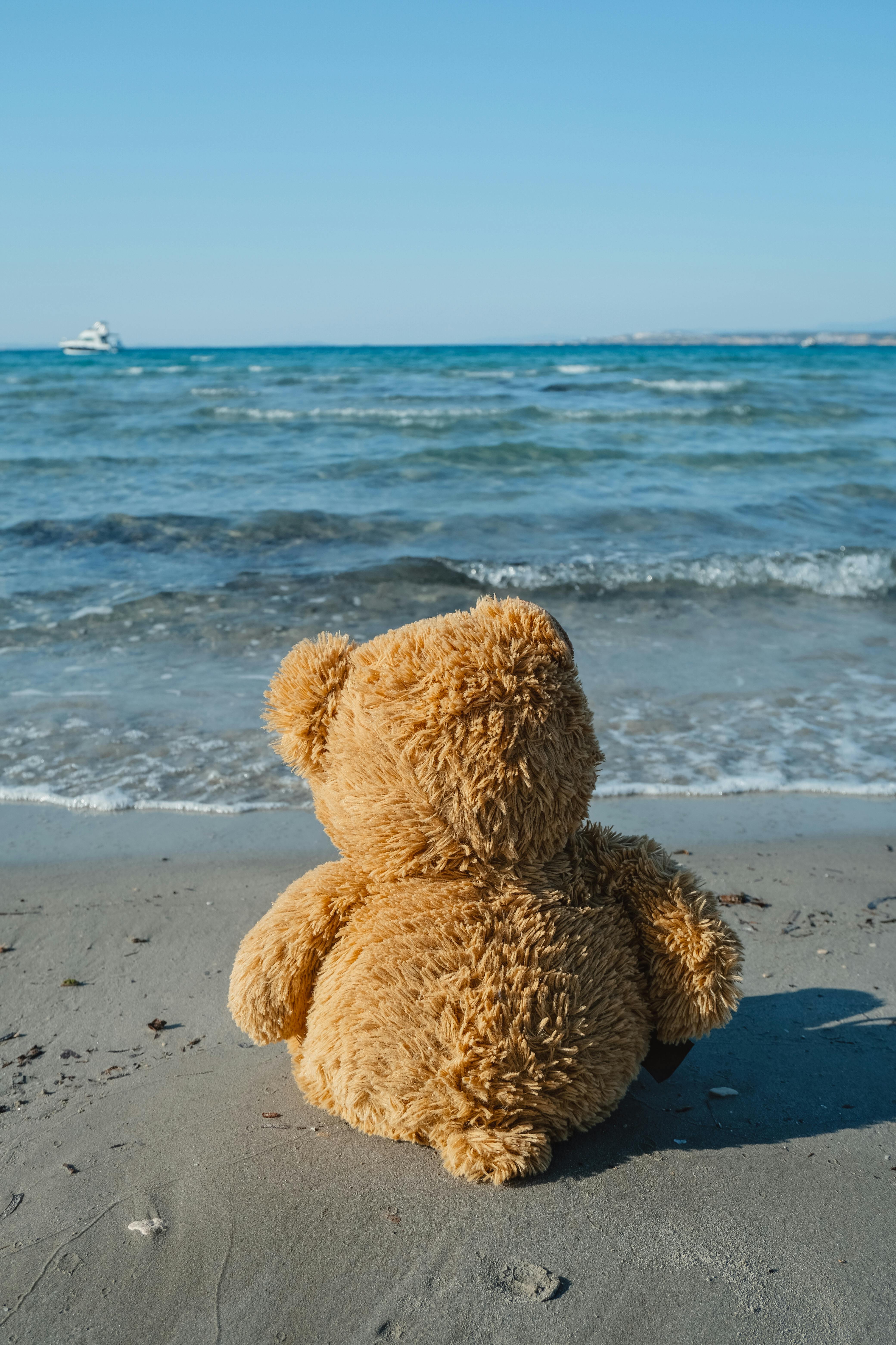 A Teddy Bear on the Beach · Free Stock Photo