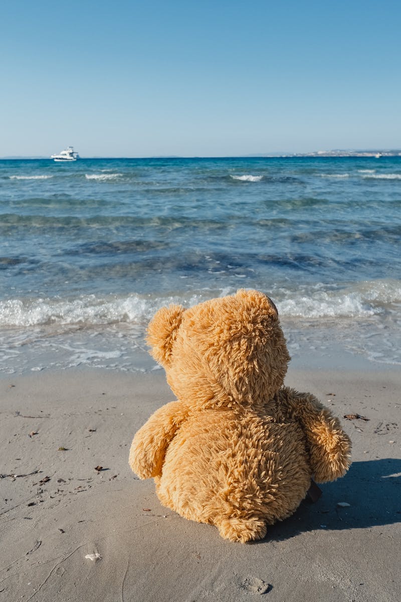 Bear Greg - Extended Vacation On Trantor