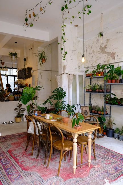 Relaxing cafe interior with green plants, wooden table, and warm ambiance. Ideal for lifestyle blogs.