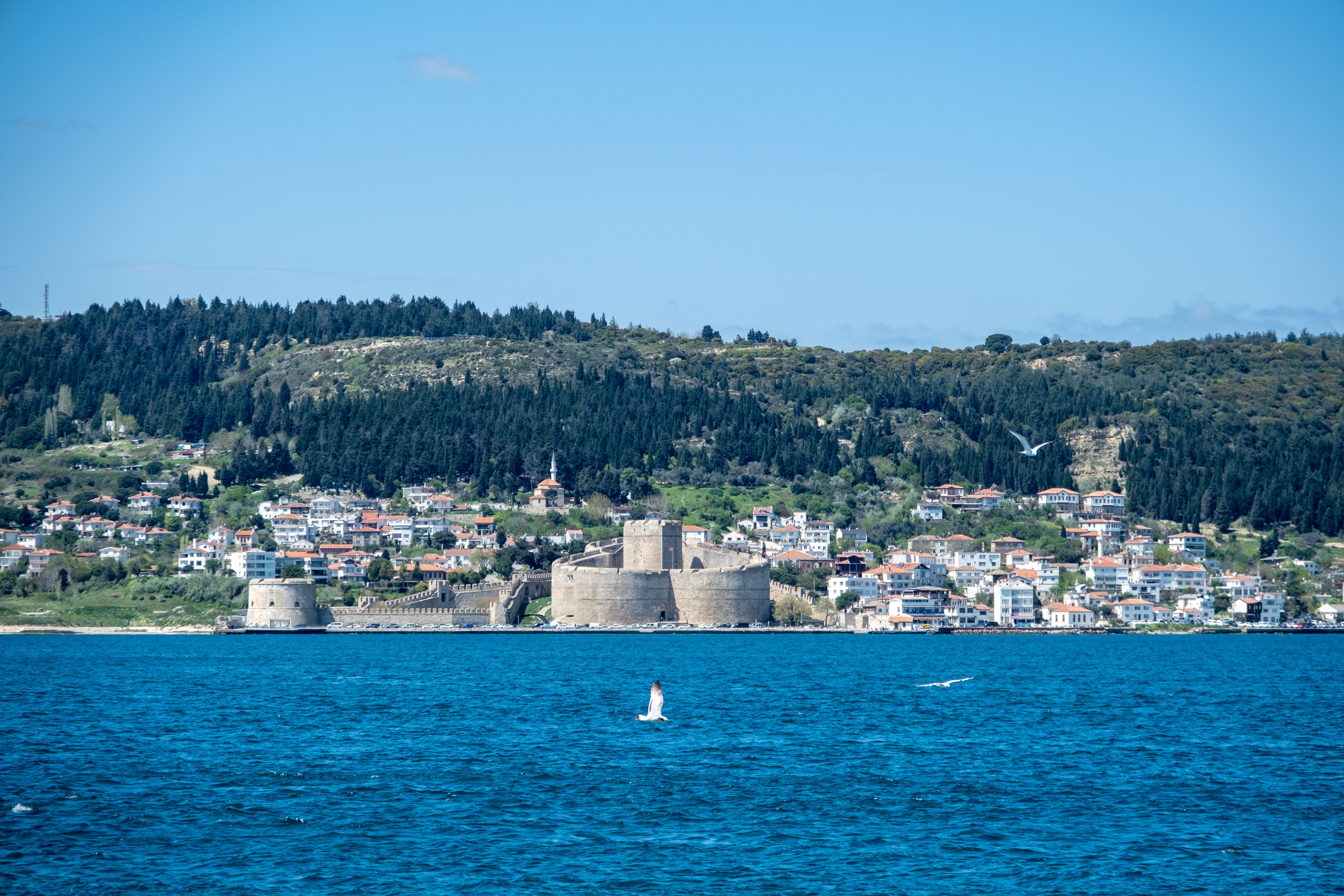 Small Town by the Sea · Free Stock Photo