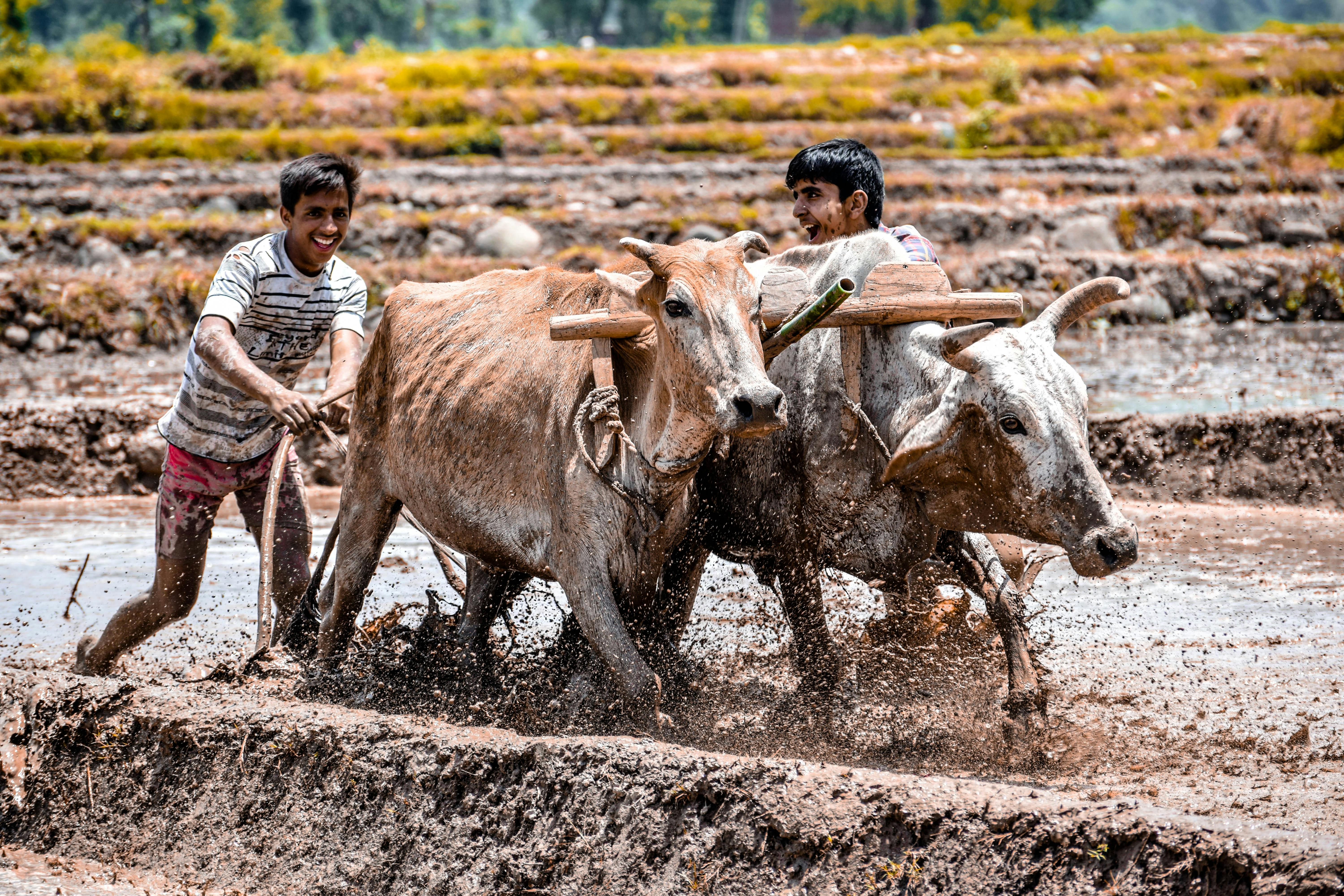'Conflict mitigation' is now one of the fastest-growing workplace skills in the United States, LinkedIn reveals — Photo by Na