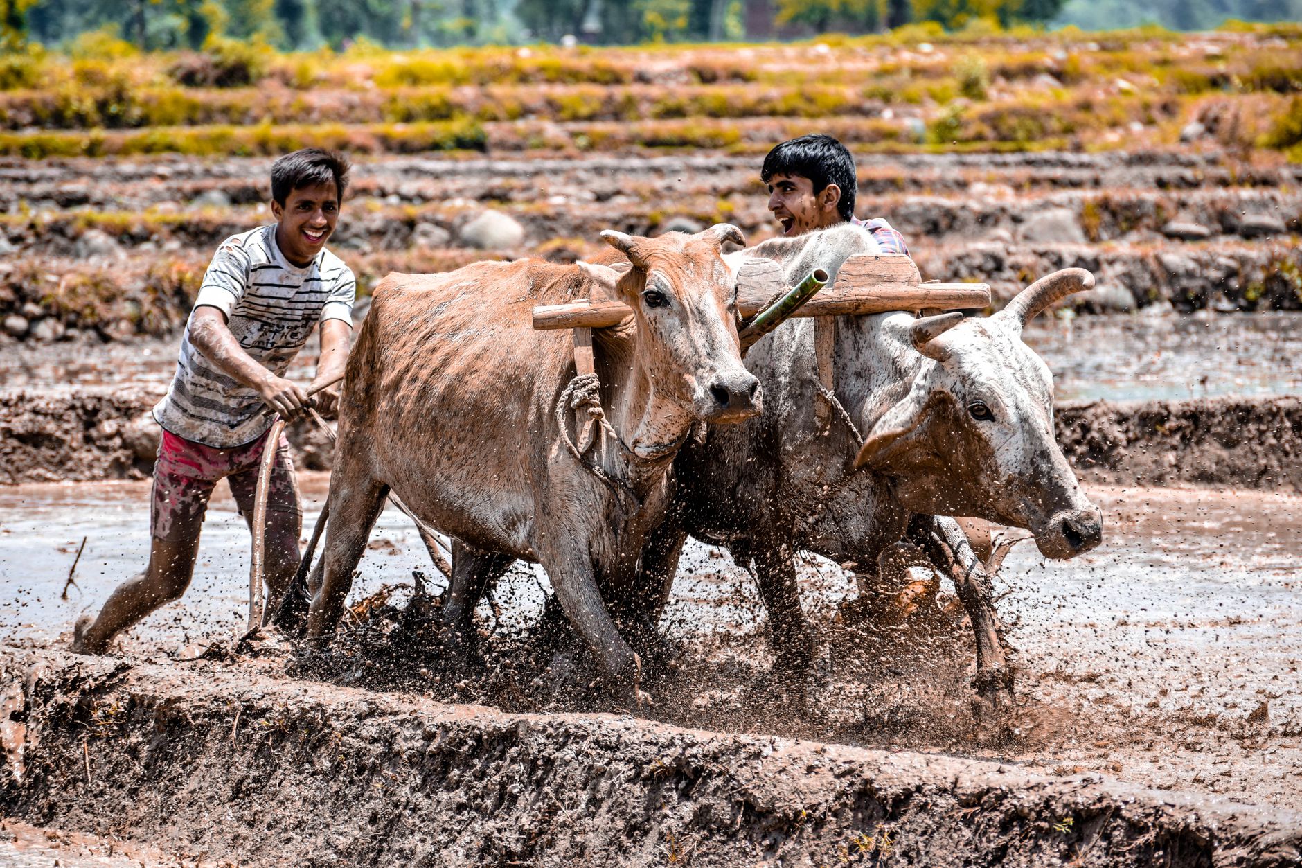 Mekong And ASEAN Farmers Brace For Trade Re‑Wiring As China Pursues New Export Strategy