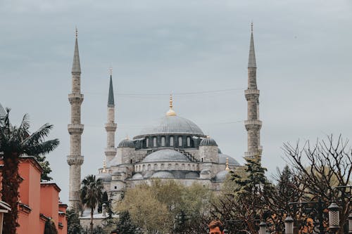 Δωρεάν στοκ φωτογραφιών με γαλοπούλα, Ισλάμ, Κωνσταντινούπολη