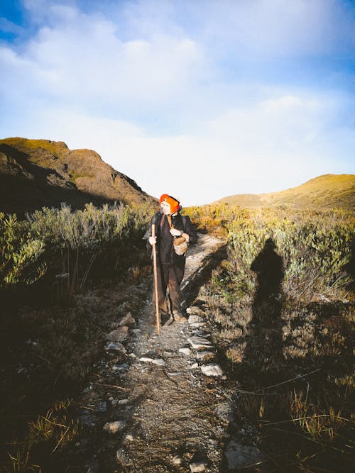 Foto profissional grátis de área, caminhada, caminhar