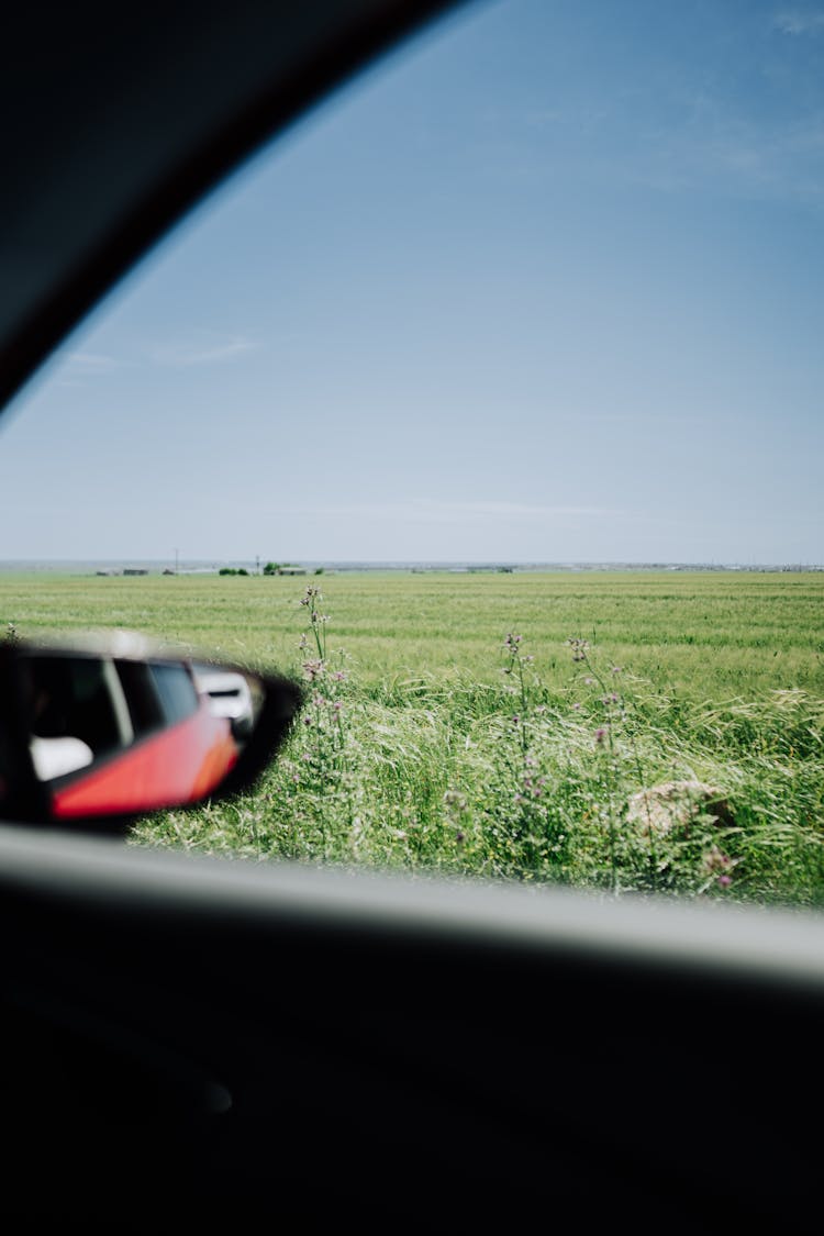 Field Seen From Car