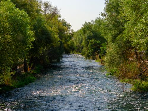Free Tranquil river meandering through a lush, green forest on a sunny day. Stock Photo