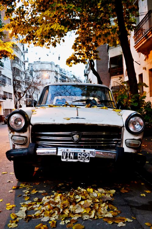Free Classic Peugeot 404 car parked on urban street with autumn leaves, capturing vintage charm. Stock Photo