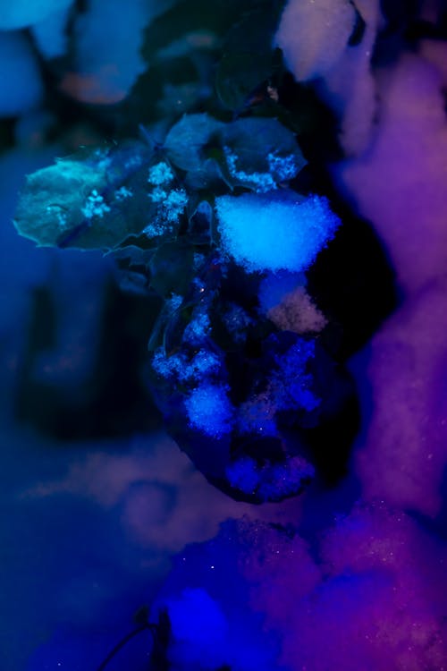 Foto profissional grátis de azul, cheio de cor, cores