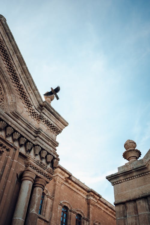 Kostenloses Stock Foto zu aufnahme von unten, fliegen, gebäude