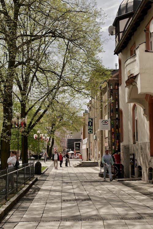 Kostenloses Stock Foto zu bürgersteig, frühling, gehen