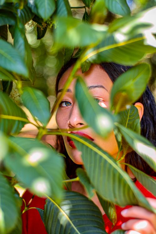 Free Close-up portrait of a woman partially hidden behind lush green leaves, creating a mysterious and captivating look. Stock Photo