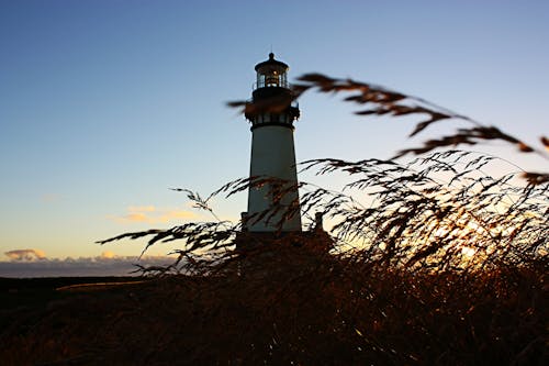 Free stock photo of lighthouse, sunset Stock Photo