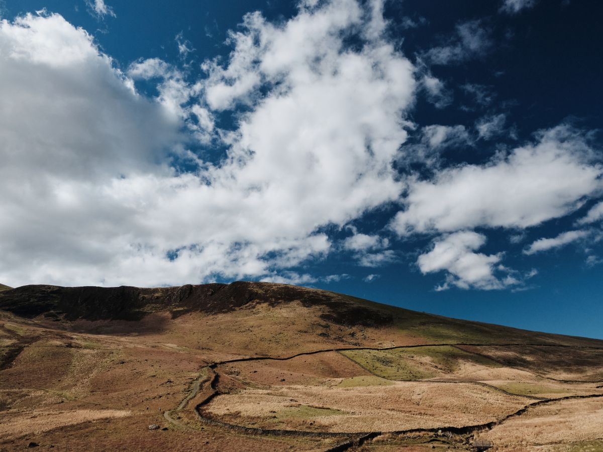 8 Day Silent Healing With Horses Retreat in Cumbria 2