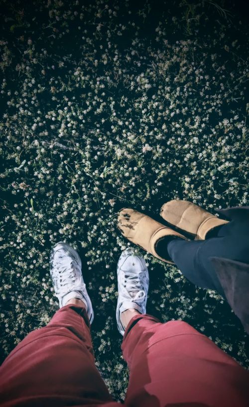 Free Two people's feet on grass covered with flowers in Tirana, Albania. Stock Photo