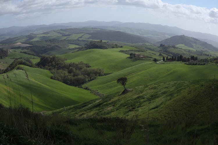 Landscape Of Green Hills 