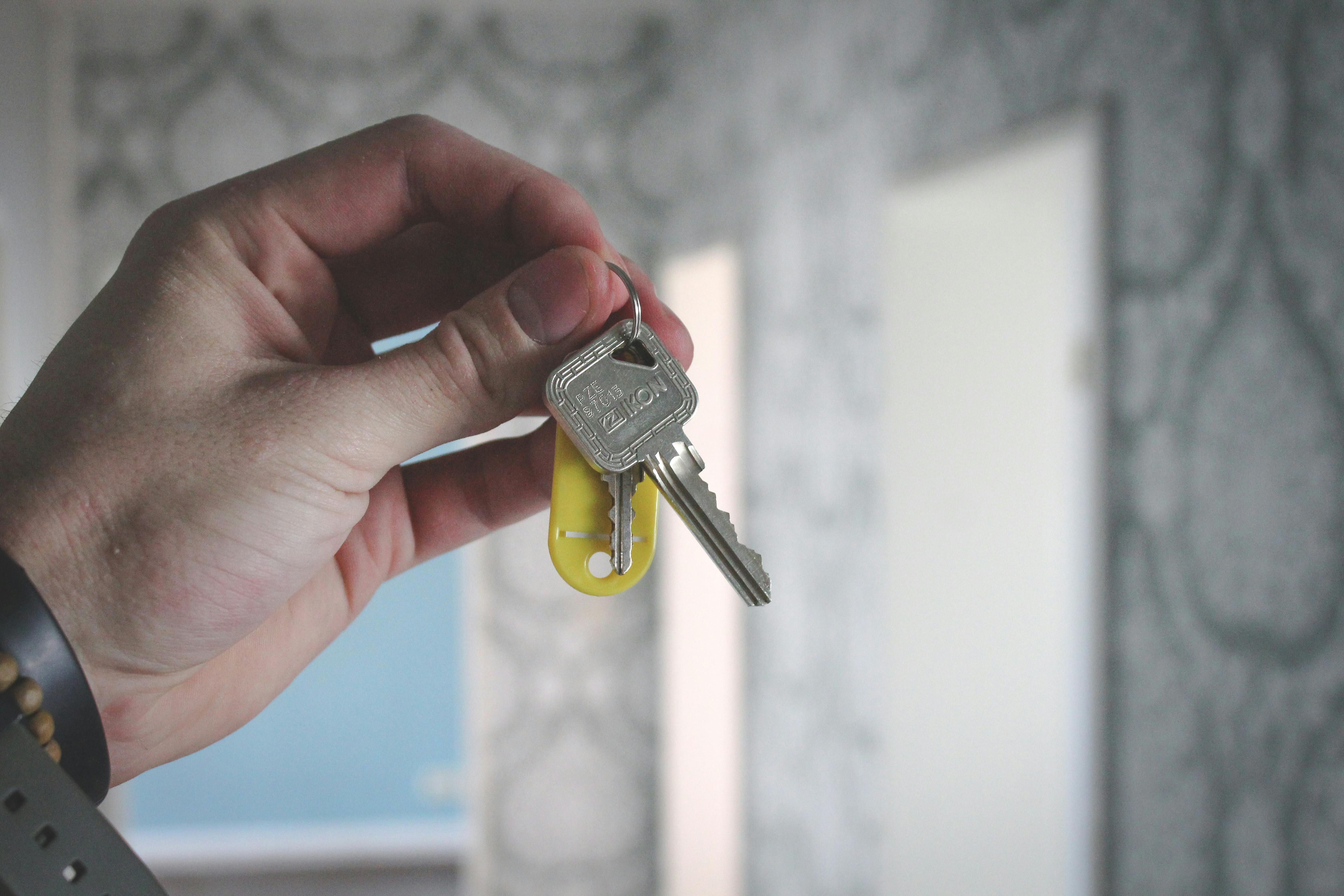 Interior wall painting project